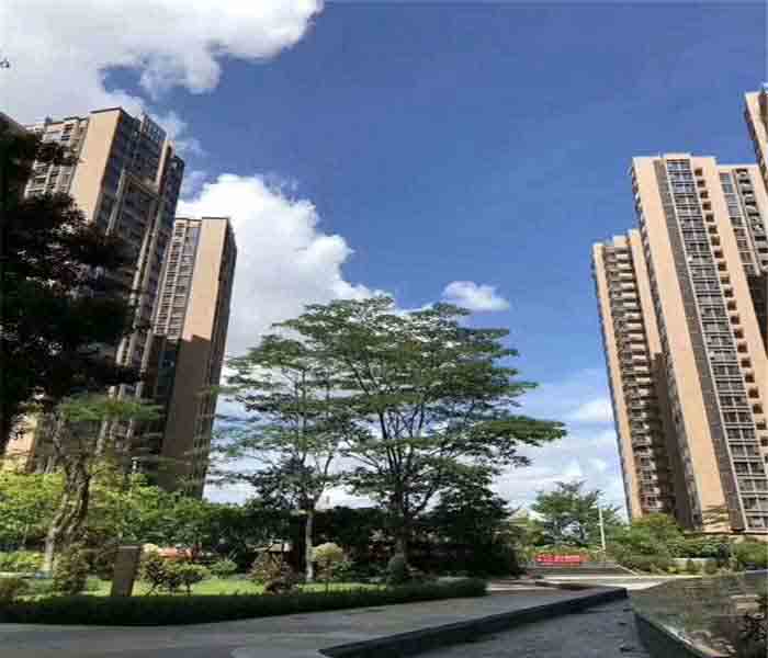 松崗村委統建樓：匯豐花園