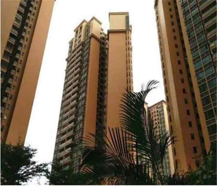 沙井大型村委統建樓：天水豪庭