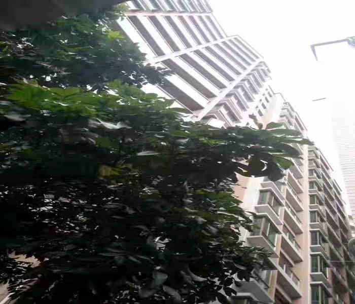 公明小產權房新樓盤：馬田大廈