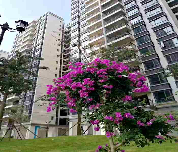 惠州小產權房-盛世麗都